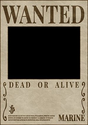 One Piece Template, Wanted Poster Template, Wanted One Piece, Wanted Template, One Piece Birthdays, Nefertari Vivi, One Piece Bounties, Poster Template Free, Wanted Poster