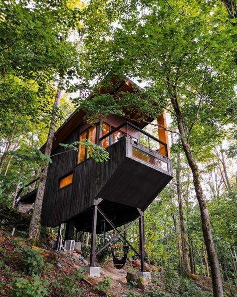 Tree House Tiny House, Mini Cabins, Tree House Interior, Houses Around The World, Unique Stays, Glass Cabin, Shed Cabin, Art Shed, Tree House Plans