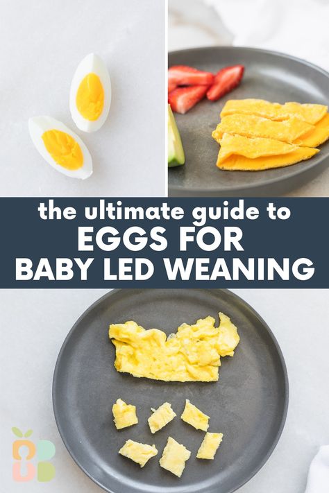 Eggs are an amazing first food for babies, especially baby led weaning! Learn everything you need to know about eggs for babies, including why they are so great for little ones, how to prepare and serve any style of eggs to babies, and BLW friendly egg recipes. Blw Eggs, Baby Led Weaning First Foods 6 Months, Baby Led Weaning 7 Months, Baby Led Weaning Meals, Eggs For Toddlers, Led Weaning First Foods, Blw Ideas, Baby Food Recipes Stage 1, Baby Led Weaning Breakfast