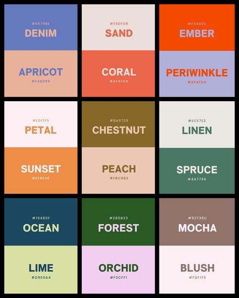 #colourschemes #colourcombinationidea #colours Hay Color Palette, Colours That Look Good Together, 6 Colour Combinations, Opposite Colour Combinations, Opposite Color Palette, Squarespace Color Palette Codes, Colour Palette 3 Colours, Color Blocking Palette, Unusual Colour Combinations