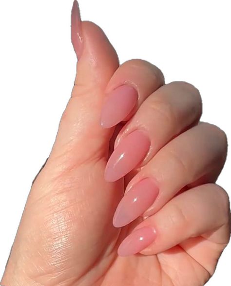 Oval Clear Nails, Natural Pink Jelly Nails, Simple Pink Gel Nails, Rose Jelly Nails, Translucent Pink Nails Gel, Sheer Pink Almond Nails, Clean Pink Nails, Long Light Pink Nails, Light Pink Jelly Nails