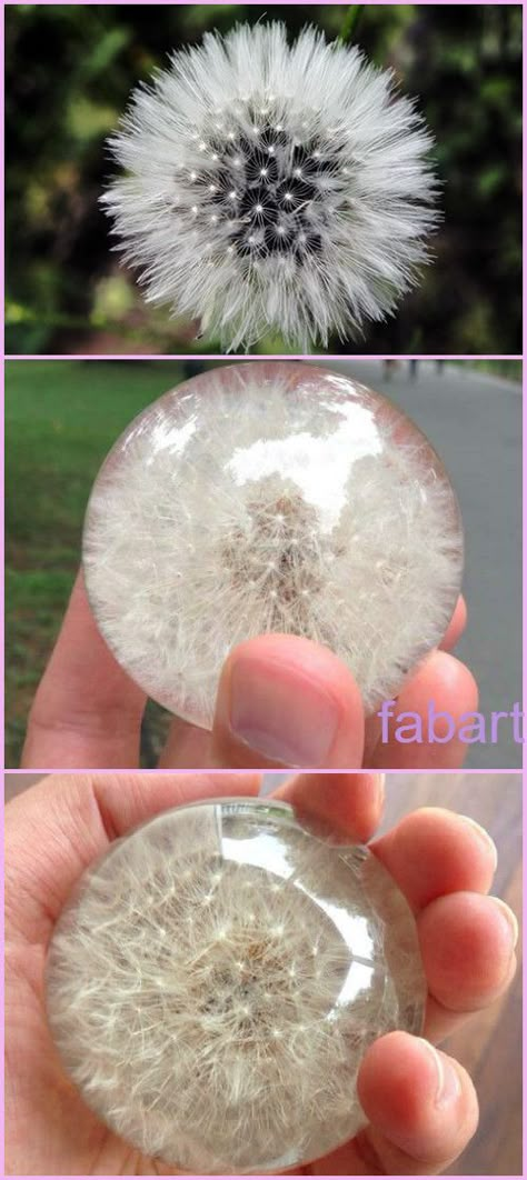 Gem Tutorial, Dandelion Paperweight, A Dandelion, Wine Bottle Diy Crafts, Wine Bottle Diy, Epoxy Resin Crafts, Diy Resin Art, Diy Resin Crafts, Wine Bottle Crafts