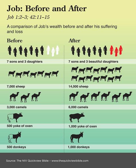 Job: Before and After A comparison of Job's wealth before and after his suffering and loss Quick View Bible, Book Of Job, Bible Study Help, Online Bible Study, Bible History, Bible Study Notebook, Ayat Alkitab, Bible Study Tools, Bible Notes