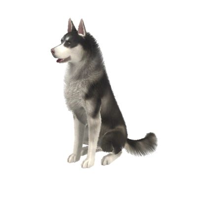 husky coat by tesimresa - The Exchange - Community - The Sims 3 Sims 3 Pets Cc, Sims 3 Exchange, Sims 3 Pets, Sims 3 Generations, The Sims 3 Pets, Egyptian Furniture, Sims Pets, Type Tattoo, The Sims 3