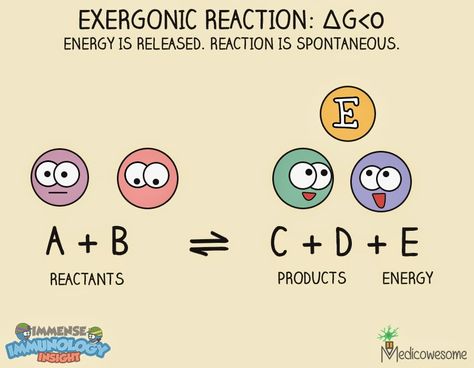 Ap Chemistry, Free Energy, Medical Students, Health Science, Tesla, Chemistry, Medicine, High School, Medical