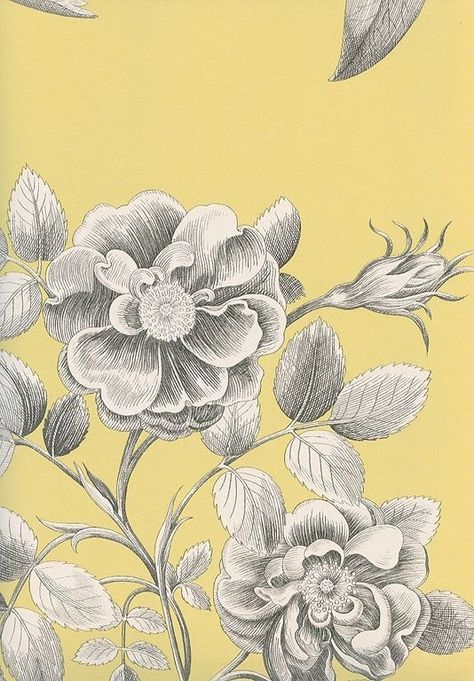 . Yellow Floral Wallpaper, Floral Pattern Wallpaper, Roses Wallpaper, Floral Wallpaper Iphone, White Floral Design, Wallpaper Iphone Disney, Luxury Wallpaper, Blue Sofa, Wallpaper Black