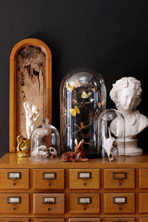 cloche with butterflies-not so keen on the skulls Cabinet Of Curiosity, Cabinet Of Curiosities, Ikea Hack, Glass Domes, Wasting Time, 인테리어 디자인, Victorian Homes, My Dream Home, Design Interior