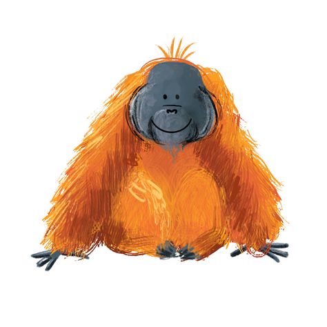 Gibbon Monkey Illustration, Cute Orangutan Drawing, Childrens Book Illustrations Characters, Monkey Art Illustration, Campervan Illustration, Orangutan Cartoon, Orangutan Illustration, Lion Illustration Art, Monkeys Drawing