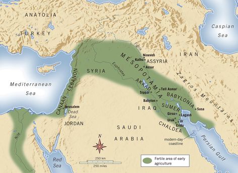 Fertile Crescent, Tigris and Euphrates, Sumer Ancient Mesopotamia Map, Neolithic Revolution, Map Worksheets, Cradle Of Civilization, Ancient Near East, Ancient Mesopotamia, Ancient Maps, Comprehension Activities, Mesopotamia