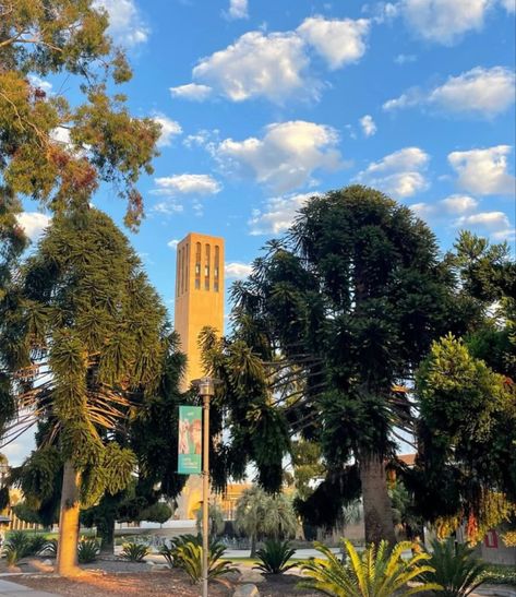 Usc Student Aesthetic, Uc Santa Barbara Campus, Uscb University, California University Aesthetic, Santa Barbara California Aesthetic, Uc Santa Barbara Aesthetic, University Of California Santa Barbara, California College Aesthetic, Ucsb College Aesthetic