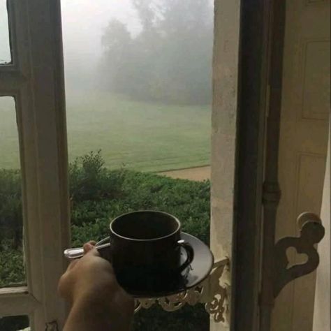 Visual Gallery, Foggy Morning, Dark Academia Aesthetic, Academia Aesthetic, Oui Oui, Autumn Aesthetic, Mellow Yellow, Dark Academia, Dark Aesthetic