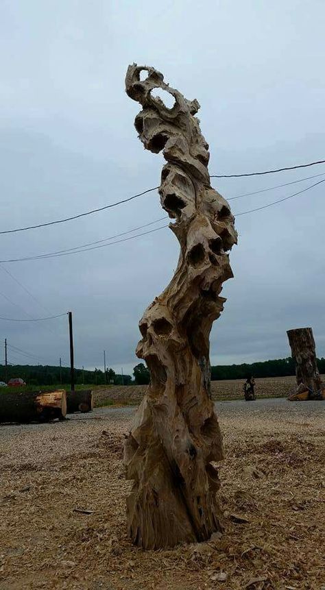 Driftwood skulls                                                                                                                                                     More 다크 판타지, Old Tree, Tree Stump, 판타지 아트, Halloween Props, Skull Art, Horror Art, Design Interior, Dark Art