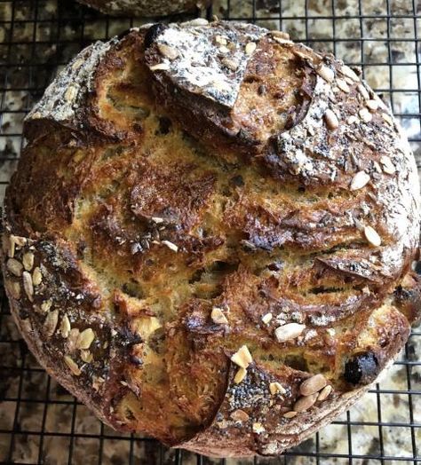 Ancient Grain Bread Recipe, Muesli Bread, Ancient Grains Bread, Bread Head, Spent Grain, Grain Bread, Rustic Bread, Beer Bread, Grain Foods