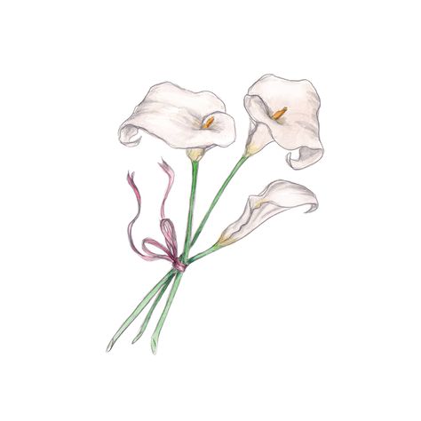 Calla Lilies Calla Lily Illustration, Calla Lily Art, Calla Lily Drawing, Calla Lily Tattoo, Lilies Drawing, Lily Tattoo, Drawing Images, Realistic Art, Glossy Photo Paper