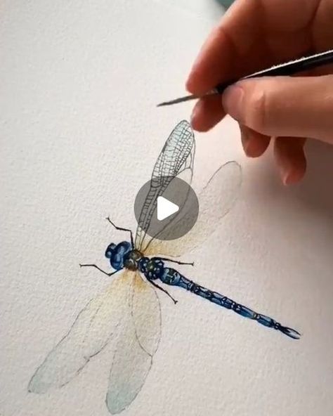 Watercolor Insects Tutorial, Paintings Of Dragonflies, Dragonfly Watercolor Painting Tutorial, Watercolor Dragonfly Tutorial, How To Paint A Dragonfly, Dragon Fly Pictures, How To Draw A Dragonfly, Dragon Fly Paintings, Dragon Fly Drawings