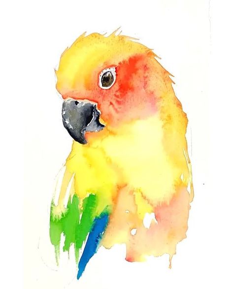 Watercolor Parrot Painting, Watercolour Bird, Bird Watercolor Art, Parrot Painting, Watercolor Pencil Art, Watercolor Blog, Parrots Art, Tinta China, Watercolour Inspiration