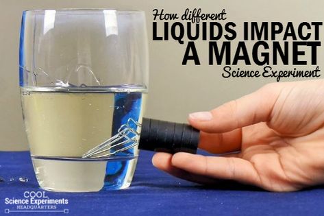 How Liquid Impacts a Magnet Magnet Science Experiment, Magnet Experiments, Magnet Activities, Magnet Science, Magnets Science, Science Fair Ideas, Science Fair Project, Classroom Science, Simple Science