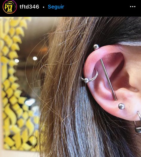 Vertical Industrial Piercing Ears, Vertical Industrial Piercing, Vertical Industrial, Ear Project, Dream Piercings, Piercing Inspo, Industrial Piercing, Piercing Ideas, Ear Piercing