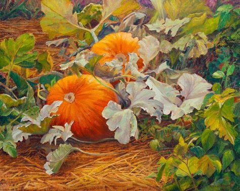 Pumpkin Patch Painting, Nature Watercolor Art, Pumpkin Paintings, Lovely Landscapes, Pumpkin Patch Pictures, Pumpkin Oil, Painting Pumpkin, Fall Drawings, Pumpkin Patches