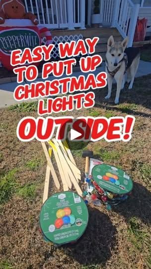 Christmas Decoration Outside, Christmas Lawn Decorations, Christmas Lights Outside, Diy Christmas Lights, Hanging Christmas Lights, Lawn Decorations, Christmas Decorations Diy Outdoor, Outdoor Christmas Lights, Decorating With Christmas Lights