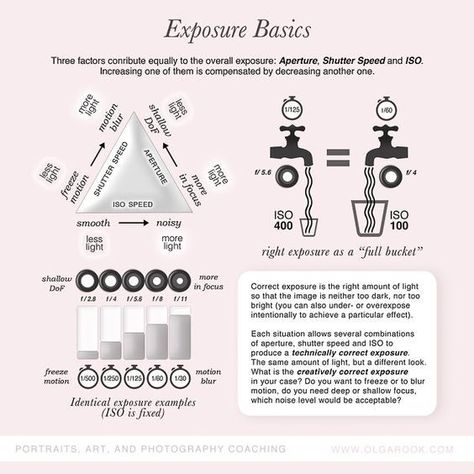 Photography Cheat Sheet: Exposure Basics for Dummies Macro Fotografie, Exposure Triangle, Camera Basics, Improve Photography, Photo Maker, Studio Spaces, Sony Photography, Photography Cheat Sheets, Photography Help