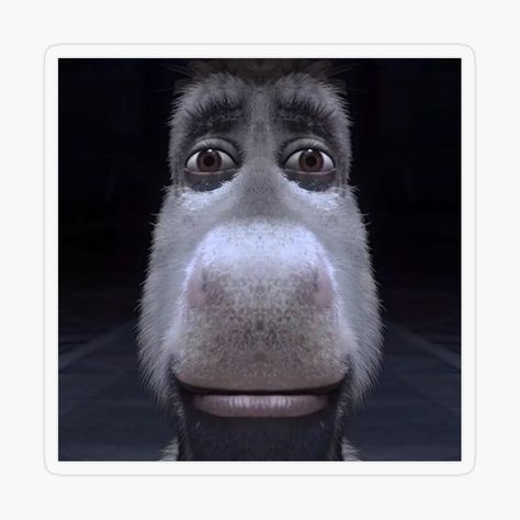 Get my art printed on awesome products. Support me at Redbubble #RBandME: https://www.redbubble.com/i/sticker/Donkey-Stare-Meme-Shrek-Funny-1000-yard-stare-by-Neesu/164881514.O9UDB?asc=u Donkey Meme, 1000 Yard Stare, Meme Shrek, Thousand Yard Stare, Shrek Funny, Shrek, Manga Art, My Art, Awesome Products