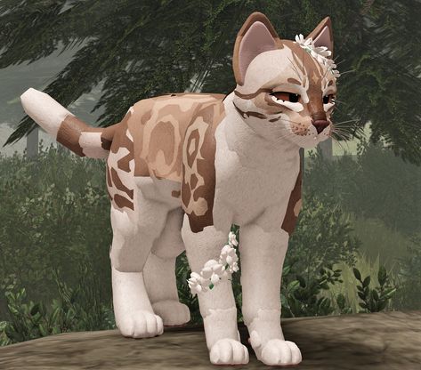 not gonna write a huge description as i am about to head to bed. i'll try to respond to comments tomorrow, sorry for being slow! i'm having a pretty exhausting week 🥲 anyways, feel free to use this for inspiration! (i actually used a glitched eye color for this morph 👀) Warrior Cat Names, Warrior Cats Books, Wcue Morph, Cat Skin, Warrior Cats Fan Art, Warrior Cat Drawings, Warrior Cat Oc, Cat Oc, Cat Ideas