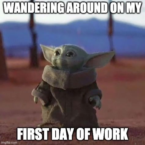 Meme | How I feel during my first day at a new job. | Source imgflip New Job Meme, Job Memes, Seaglass Art, Yoda Funny, Programmer Humor, First Day Of Work, Teacher Memes, First Job, Work Memes