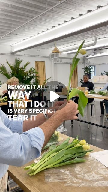 FlowerSchool New York on Instagram: "Dear Tulip Leaves,

We hate to see you go, but we love to watch you leave. 🥹

The first week of the Floral Design Program creates such an electrifying energy around the flower studio…

The students are just getting started! We can’t wait to watch them grow. Stay tuned for their floral journeys— we’re documenting each step. 📸 🌸 

*
*
*
*
#floraldesignschool #fsny #flowershop #nycflowermarket #floralarrangement #floraldesignschool #flowerschoolny #flowers #floral #smallbusiness #manager #tulips #tulip #reels #reelsinstagram #yellow #leaves #conditioning" Tulip Arrangement Ideas, Nyc Flower Market, Tulip Leaves, Floristry Design, Tulips Arrangement, Flower Studio, Yellow Leaves, First Week, Design Program