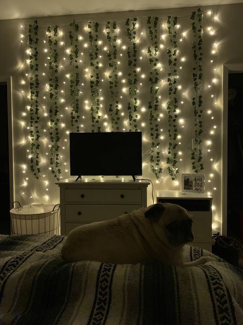 White Lights In Bedroom, Vines And Twinkle Lights Bedroom, Black Accent Wall Bedroom With String Lights, Vine Wall With Lights, Fairy Lights Curtain Bedroom, Fairy Lights Behind Tv, Leaves And Fairy Lights Wall, Fairy String Lights Bedroom, Led Lights And Vines Bedroom