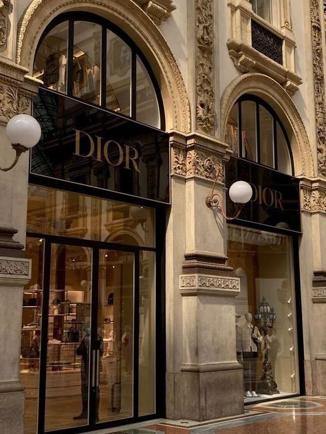 Dior Aesthetic, จีซอง Nct, Gold Aesthetic, Luxury Lifestyle Dreams, Classy Aesthetic, Luxury Aesthetic, Money Aesthetic, Future Me, Blair Waldorf