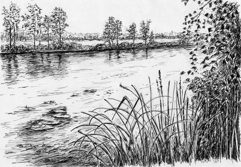 Forest Floor Drawing, Farm Drawing Landscape, Marsh Drawing, Creek Drawing, Pond Sketch, Lake Sketch, River Sketch, Pond Drawing, River Drawing