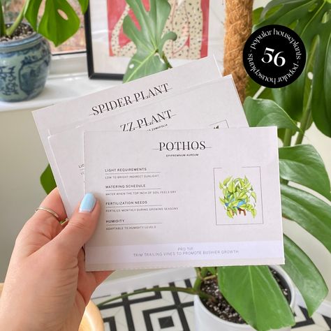 Plant Care Cards, Plant Labels Printable, Indoor Plant Care Instructions, Tags, Plant Planner, Pre-Written Plant Resources, Plant Care Tips by MaggiesGreenCup on Etsy Plant Tags Diy, Diy Plant Care Journal, Plant Care Cards, Plant Care Guide Printable, Plant Care Journal, Printable Plant Care Cards, Plant Care Instructions, Zz Plant, Garden Planner