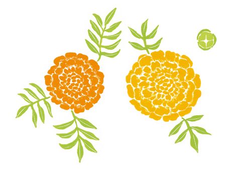 marigold Marigold Painting Easy, Marigold Art, Marigold Illustration, Marigold Block Print, Marigold Print, Block Printing Designs, Flower Rangoli, Marigold Flower, Print Design Art