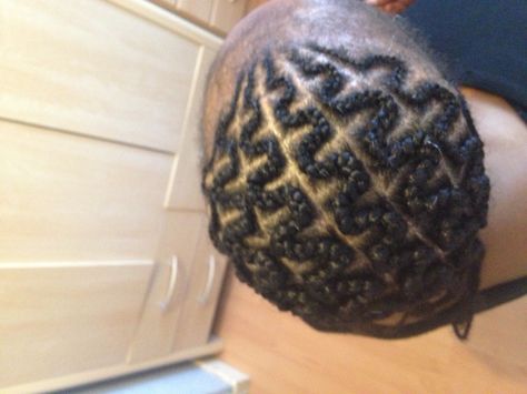 Snakes all back Snake Cornrows, Snake Braid Hairstyles, Snake Hairstyle, Hairstyle Side Part, Snake Braids, Snake Quotes, Snake Braid, Toddler Braided Hairstyles, Braiding Hair Colors