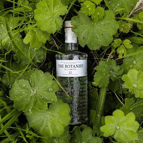 The Botanist Gin, Botanist Gin, The Botanist, Dry Gin, Macallan Whiskey Bottle, Whiskey Bottle, Gin, Whiskey, Wine Bottle