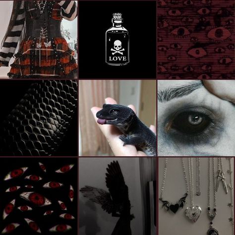 Bat Moodboard, Demon Moodboard, Spooky Moodboard, Adopt Moodboard, Halloween Mood Board, Paranormal Aesthetic, Adopt Idea, Characters Inspiration Drawing, Rainbow Aesthetic