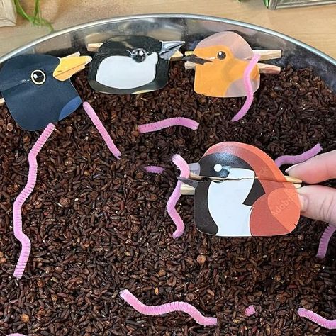 Polly on Instagram: "🪱Peck a Worm🪱 Super simple fine motor activity this week.  I added some ‘soil’ (dyed rice) to a tray and put in some pink pipe cleaners to act as worms.  I then added some bird heads to pegs and challenged the children to open the birds mouth to peck up a worm to eat.  . . . . . Birds #bookplaybingo Birds #playinjanuary Birds #january_play . #continuousprovision #eyfs #earlyyears #naturalclassroom #allaboutearlyyears #playingislearning #eyfsclassroom #passionforprovision #inspire_play_learn #playinprovision #magicofprovision #eyfsteacher #eyfsideas #eyfsclassroom #playandlearntoday  #earlyyearsplayshare #enchantingearlyyears #winninginprovision #learningwiththesmalls" Bird Week Activities, Hedgehog Tuff Tray, Bird Eyfs Activities, Learning About Animals Preschool, Children Week Activities, Nest Activities Preschool, Bird Sensory Activities, Peg Activities For Toddlers, Toddler Eyfs Activities