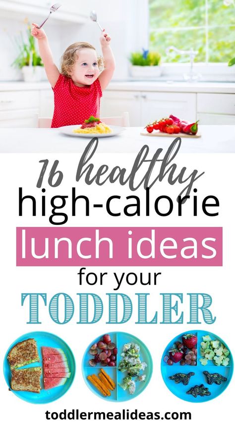 High Calorie Lunches, Blw Lunch, High Calorie Baby Food, High Calorie Breakfast, Lunches Healthy, Toddler Lunch Ideas, Easy Toddler Lunches, Meal Plan For Toddlers, High Calorie Diet