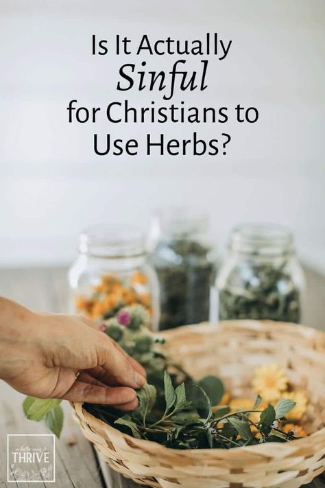 Herbs For Beginner Herbalist, Medicinal Herbs For Beginners, Christian Herbalist, Theology Questions, Christian Homesteading, Beginner Herbalist, Herbalist Kitchen, Herbalism For Beginners, Herbalist Recipes