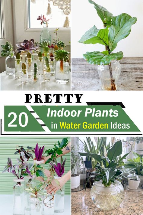 Indoor Water Plants Glass Vase, Indoor Plants In Water, Interior Gardens, Water Garden Ideas, Art Creative Ideas, Hydro Plant, Water Plants Indoor, Plants Grown In Water, Small Water Gardens