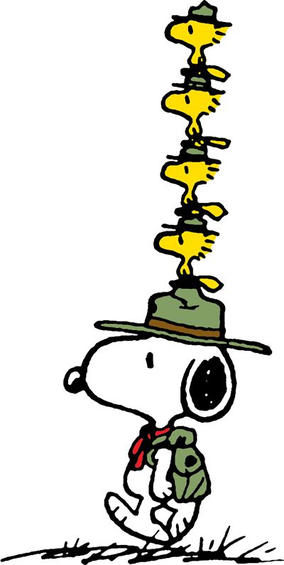 Field Trips - Charles M. Schulz Museum Charles M Schulz, Beagle Scout Snoopy, Snoopy Beagle Scout, Scout Drawing, Snoopy Camping, Snoopy Beagle, Ra Themes, Snoopy Tattoo, Camp Snoopy