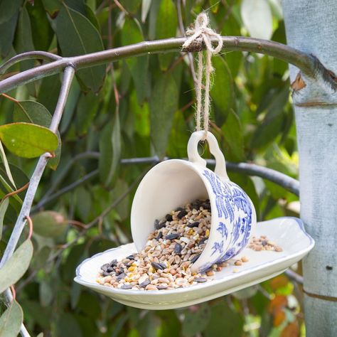 budget garden ideas Garden Ideas Cheap, Budget Garden, Diy Bird Feeder, Wildlife Gardening, Garden Show, Creative Gardening, Diy Garden Projects, Big Things, Garden Cottage