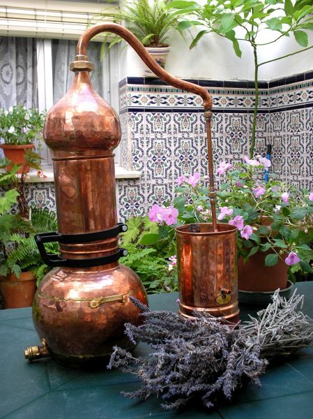 essential oil production with Destillatio Oil Distiller, Whiskey Still, Copper Pot Still, Essential Oil Distiller, Moonshine Still, Types Of Herbs, How To Make Oil, Pot Still, Herbal Apothecary