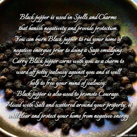 .Black Pepper White Witch Spells, Hedge Witchcraft, Black Corn, Magickal Herbs, Traditional Witchcraft, Sage Smudging, Kitchen Witchery, Switch Words, Herbal Magic