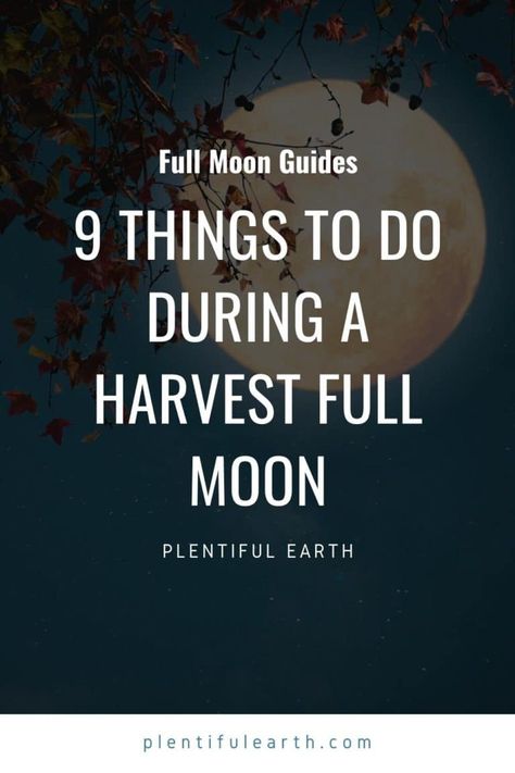 Full Harvest Moon: 9 Things To Do During This Full Moon Harvest Moon Manifestation, Harvest Moon Affirmations, Full Moon Things To Do, Harvest Full Moon 2023, Harvest Moon Ritual Wicca, New Moon To Do List, Harvest Moon Party Ideas, Full Harvest Moon Spells, Corn Moon Ritual