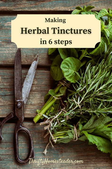 Medicinal Herbs Remedies, Oregano Recipes, Preserve Fresh Herbs, Homemade Medicine, Tinctures Recipes, Natural Cleaning Solutions, Herbal Tinctures, Holy Basil, Home Health Care