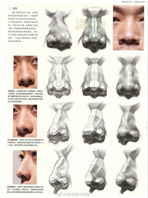 Nose Anatomy Reference, Human Face Anatomy Drawing, Hatching Faces, Planes Of The Nose, Human Nose Drawing, Anatomy Head Drawing, Head Study Reference, Nose Anatomy Drawing, Nose Perspective