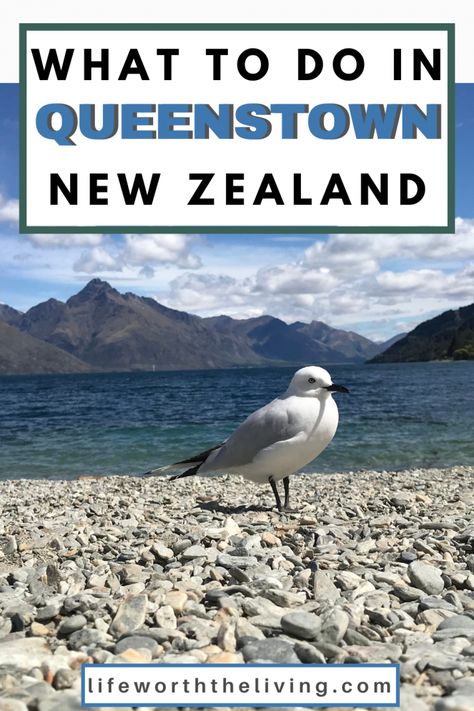 Things to do in Queenstown, New Zealand: Tips for Visiting Things To Do In Queenstown New Zealand, New Zealand Great Walks, Queens Town New Zealand, New Zealand Queenstown, Ben Lomond, Queenstown New Zealand, Milford Sound, List Of Things, New Zealand Travel