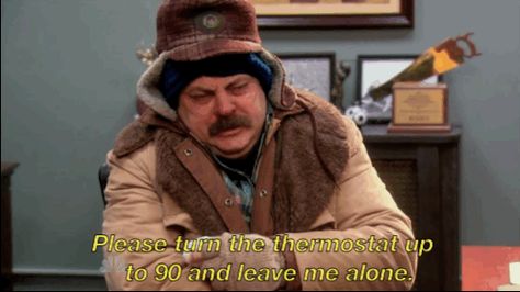 Layering up is futile. You're so cold it seems to come from inside you. Things only a cold blooded person will understand. Ron Swanson Meme, Cold Meme, Parks And Rec Ron, Sour Stomach, Ron Swanson Quotes, Cold People, Get Rid Of Cold, Polar Vortex, Ron Swanson